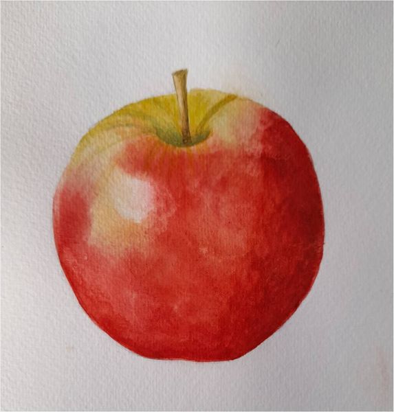 Watercolour Apple
