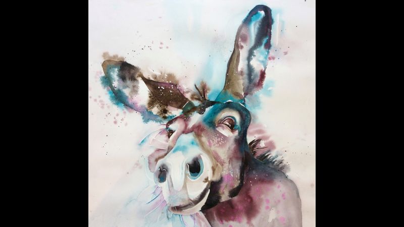 Our final project - a wonky donkey