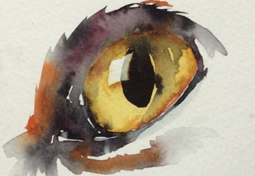Eyes in watercolour