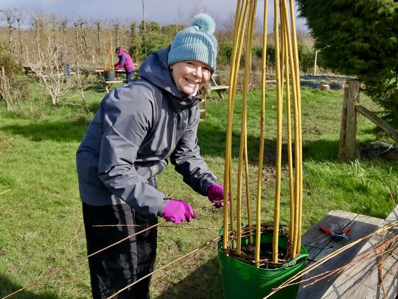 A student making her willow sweet pea support.