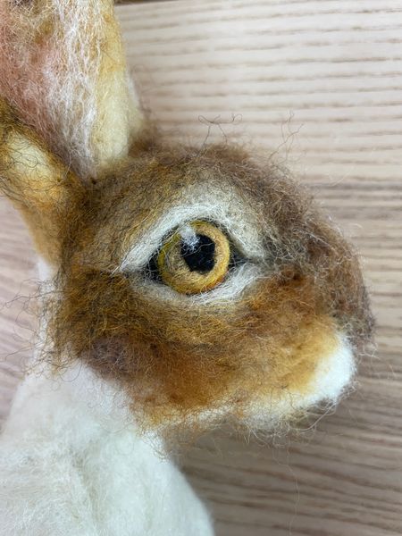 Soulful needle felted eyes come to life under the expert guidance of Cecily Kate at The Oast Studio, Hartfield
