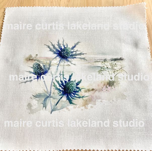 Sea Holly embroidery kit from Maire Curtis lakeland studio feature pre printed linen