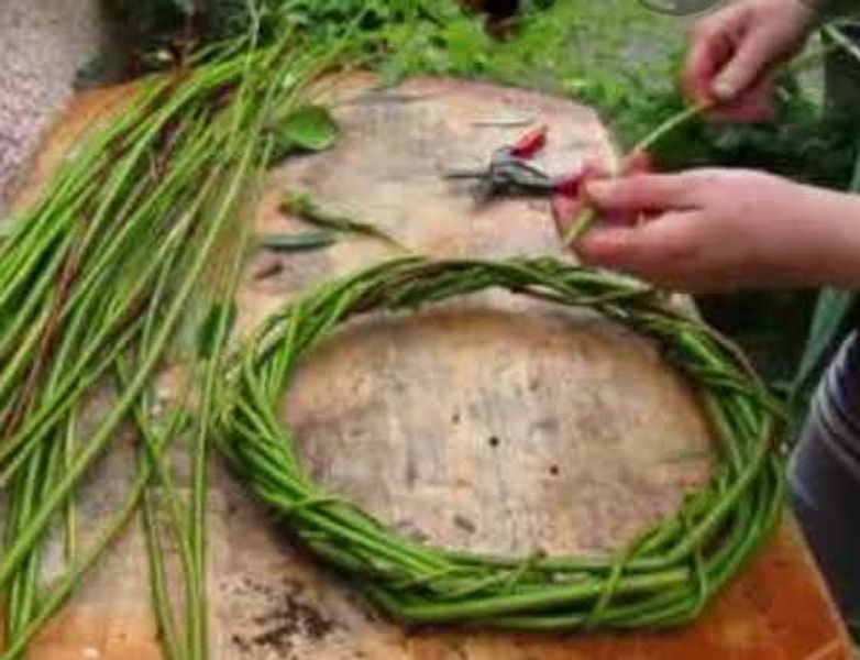 Strong secateurs will be needed to cut the willow and or the vines provided in the kit.     The material will be freshly harvested but may need a soak before weaving to ensure that it is pliable.