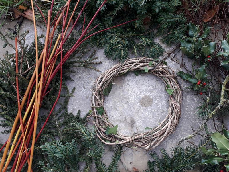 You will learn and be guided step by step to weave a simple willow ring