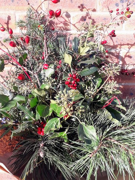 Lovely fresh ever greens and berries to make your wreath lush and glorious to behold.