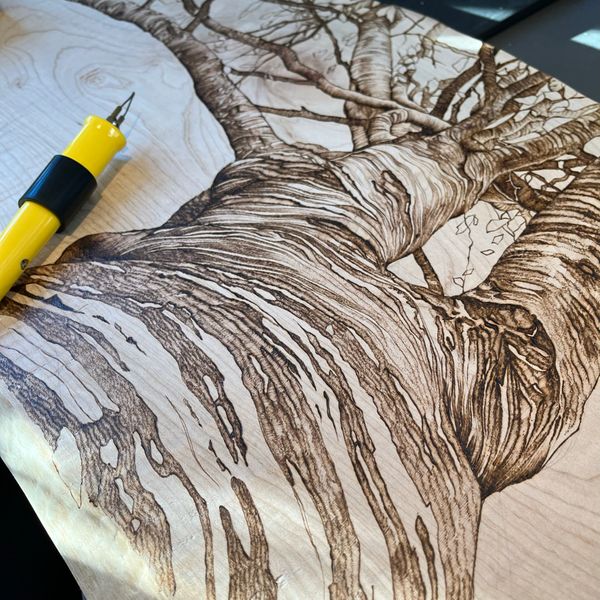 'Golden Hour' Pyrography piece by tutor Tilia Holmes