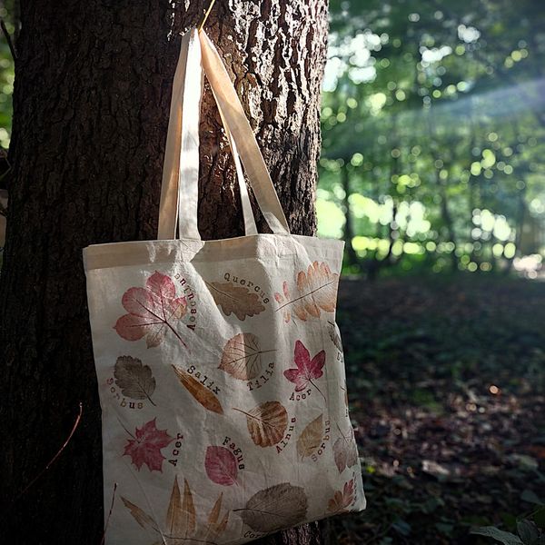 Bag hanging from a tree on our site.