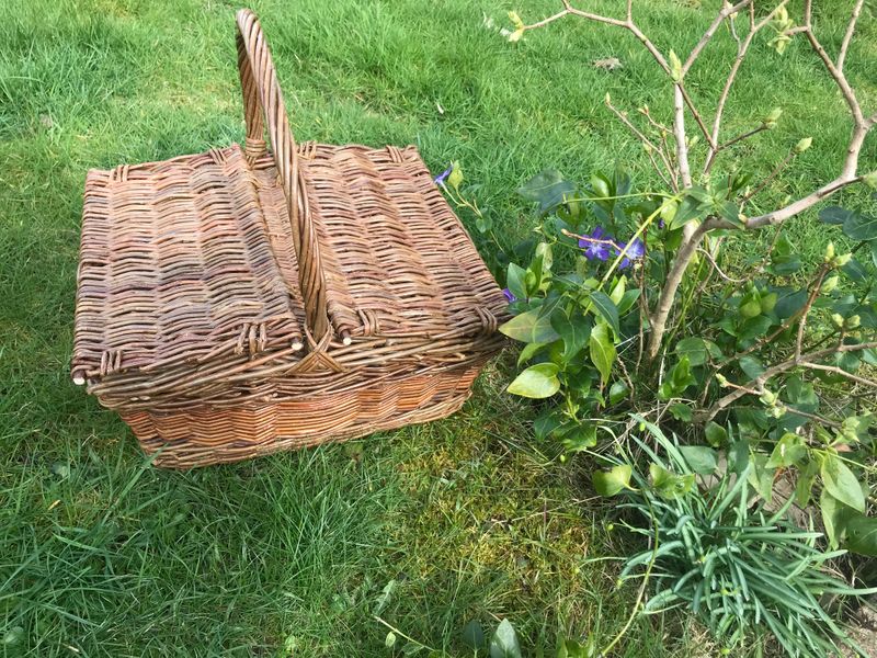 Lidded picnic basket