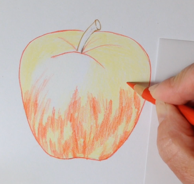 Red Apple introduction to botanical coloured pencil drawing with Linda Hampson at The Old Kennels
