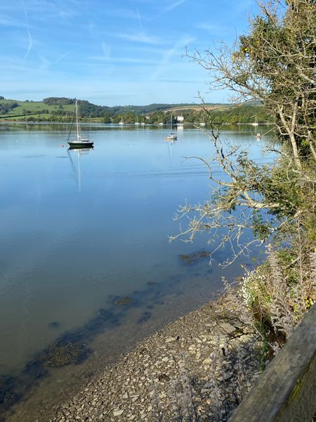 River Tamar near the studio