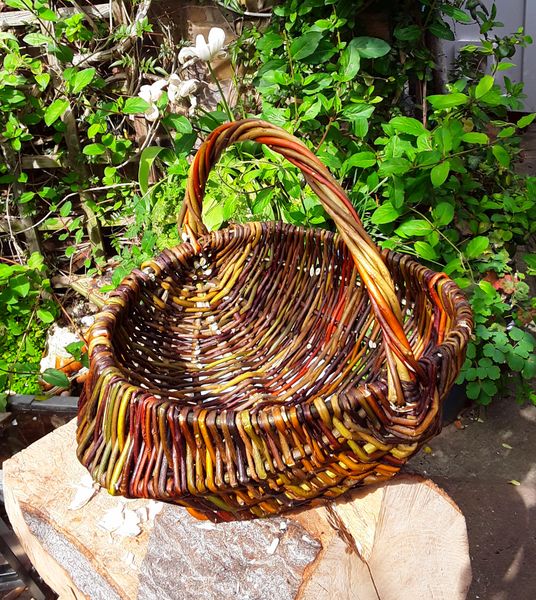 Frame Willow Basket weaving
