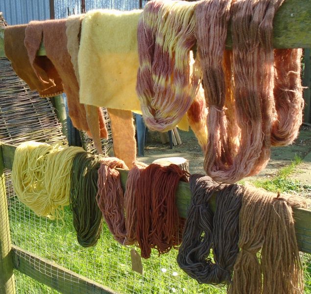 Hedgerow Dyeing with The Woodland Haberdasher at Cambridge Makers