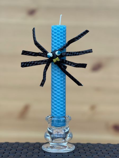 Rolled Beeswax Spider