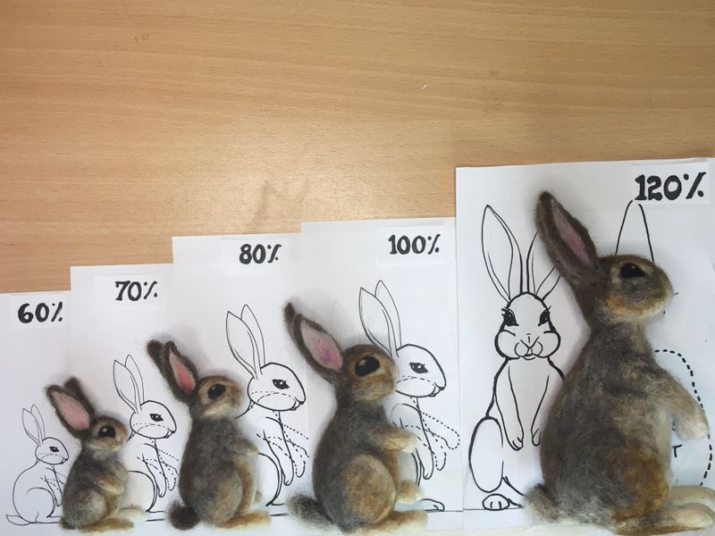How to use the scaled bunny template